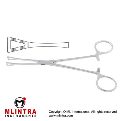 Pennington Organ Grasping Forcep Stainless Steel, 21 cm - 8 1/4"